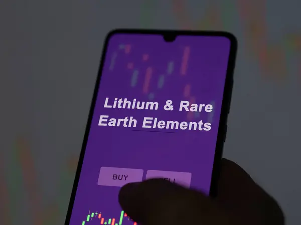 Bir yatırımcı ekranda lityum ve nadir dünya elementleri fonunu analiz ediyor. Lityum & Nadir Dünya elementlerinin fiyatlarını gösteren bir telefon