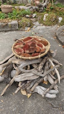 Sokakta güneşli yeşim taşı