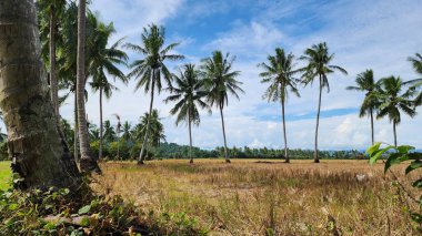 Fairel ve Rehan öğleden sonra evin sütununun altında oyun oynarken eğleniyorlardı. pinrang - Endonezya
