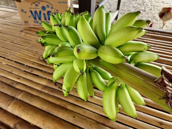 This banana is relatively small, both the tree and the fruit, this type of delicious banana can only be eaten directly, and is named the golden banana. grows a lot and is found in the tropics - Asia, especially Indonesia