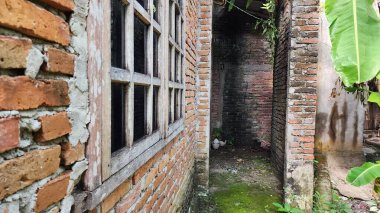 Evin duvarlarında mantar ve çimen yetiştiren ıssız bir ev, Masolo Pinrang Köyü, Endonezya