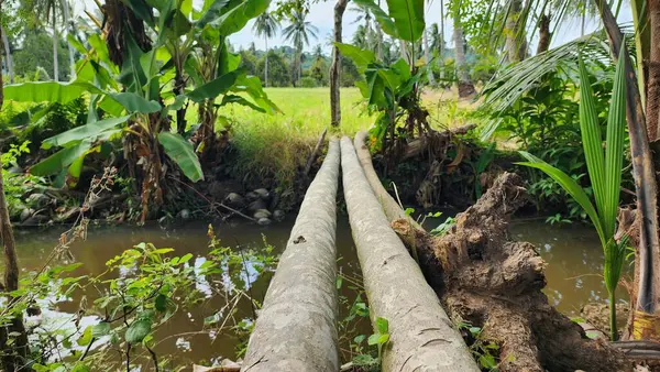 stock image The provision of village drinking water and sanitation is included in the PAMSIMAS Program, or clean water storage container - Indonesia