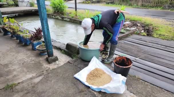 2023 핑고에 거주하는 농부가 정화하고 은물에 담갔다가 제거하는 것뿐이다 — 비디오
