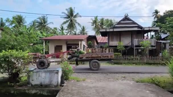 農家はマゾロ ピンラン村で手トラクターで水田を耕す インドネシア — ストック動画