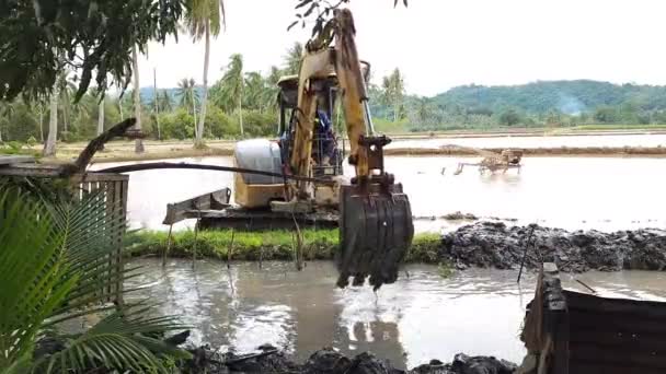 2023年6月24日 ピンラン インドネシア コマツの小型ショベルがインドネシアのマゾピンラン村で水田用の灌漑用運河を掘削 — ストック動画