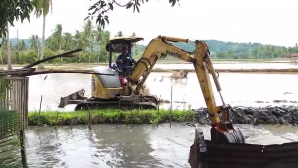印度尼西亚平朗 2023年6月24日 Komatsu小型挖掘机 目前正在为印度尼西亚Masolo Pinrang村的稻田挖掘灌溉渠道 — 图库视频影像