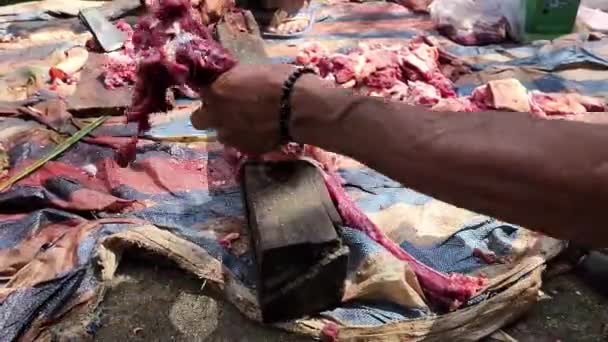 Pinrang Indonesia June 2023 Sacrificial Cow Eid Adha Process Slaughtering — Stock Video