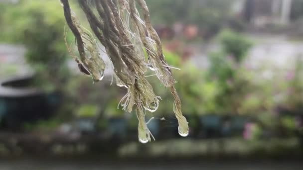 Cristalli Gocce Pioggia Sull Estremità Della Corda Asiatico Indonesiano — Video Stock