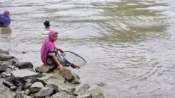 Pinrang Indonézia Július 2023 Néhány Pinrang Lakosok Horgászat Háló Halak — Stock videók