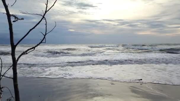 Este Ammani Strand Gyönyörű Strand Déli Sulawesi Sziget Nyugati Végén — Stock videók