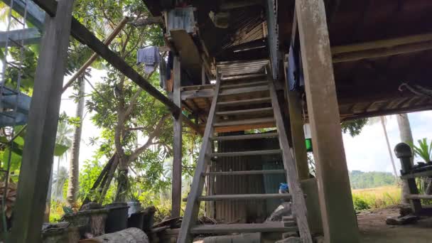 Пинранг Индонезия Июля 2023 Года Деревянный Дом Сваях Традиционный Дом — стоковое видео