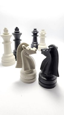 Satranç taşları LGBT konsepti, lgbt konsepti, eşcinsel çiftler konsepti, normal çiftler konsepti, satranç oyunu, plastik satranç taşları, Asya Endonezya