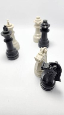 Satranç taşları LGBT konsepti, lgbt konsepti, eşcinsel çiftler konsepti, normal çiftler konsepti, satranç oyunu, plastik satranç taşları, Asya Endonezya