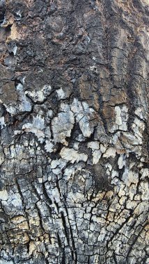 Yandıktan sonra, Asya, Endonezya...