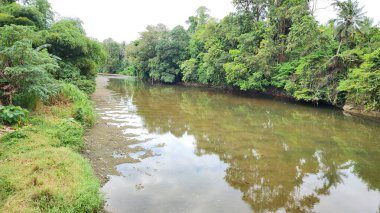 Pinrang İlçesi bamba köyündeki hüzünlü kollardan biri, alçak sularda nehir, güzel ağaçlar ve dağlar, Asya Endonezya