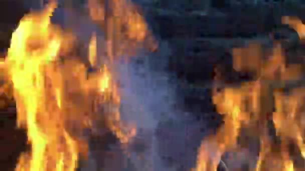 Concetto Incendio Estivo Bruciare Rifiuti All Aperto Cortile Luce Diurna — Video Stock
