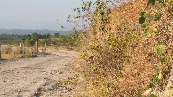 stock image Rocky, dry and barren dirt road, weed grassland in summer, in Malimpung Pinrang village, Asia Indonesia