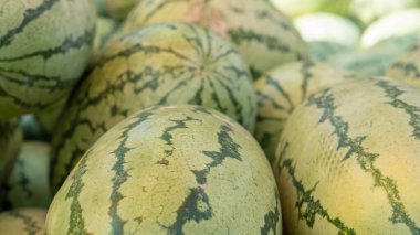 Yazın sabahları karpuz meyvesi arkaplanı