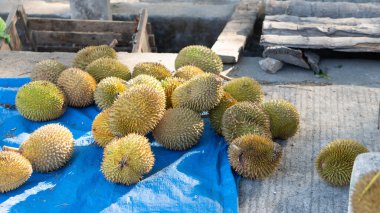 Yolun kenarındaki bir meyve satıcısının manzara fotoğrafı öğleden sonra Pinrang City, Endonezya 'daki Sulawesi ekseni.