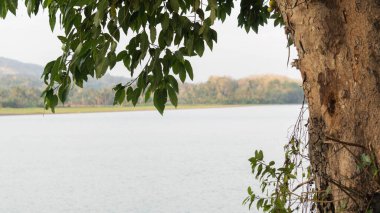 Benteng Pinrang köyündeki nehirlerin ve dağların güzel manzarası öğleden sonra, Asya Endonezya
