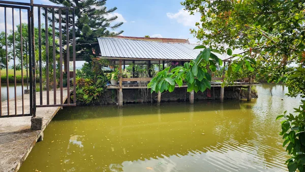 Asya Endonezya 'daki Masolo Pinrang köyünde balık tutma göletinde yüzen bir restoran.