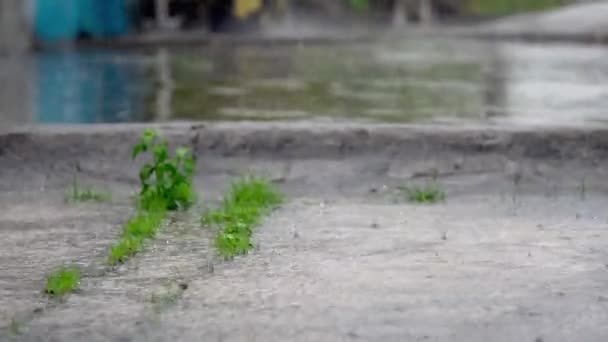 Období Dešťů Kapky Deště Betonový Dvůr Před Domem Odpoledne Městě — Stock video