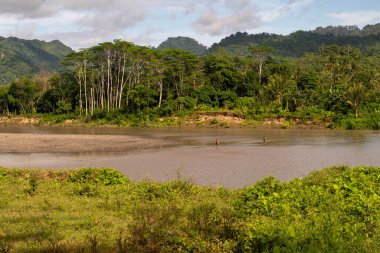 Pinrang Endonezya Januari 10, 2024: Geleneksel yöntemle balık yakalamak, Pinrang sakinleri sabahları geleneksel araçlarla Saddang Nehri kıyısında balık avlıyor.