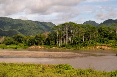 Pinrang Endonezya Januari 10, 2024: Geleneksel yöntemle balık yakalamak, Pinrang sakinleri sabahları geleneksel araçlarla Saddang Nehri kıyısında balık avlıyor.