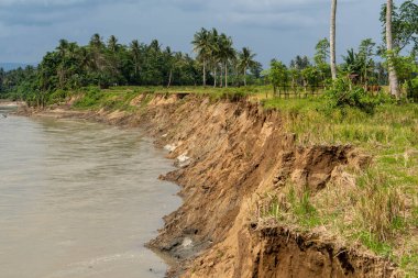 Saddang river abrasion disaster in Teppo sub-district, Pinrang district, South Sulawesi, causing hundreds of hectares of residents' agricultural land to be eroded clipart