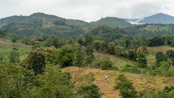 stock image Photography of illegal logging of tropical mountain forests, deforestation, Tungka Enrekang village, South Sulawesi, Asia, Indonesia