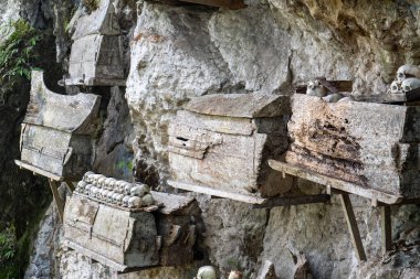 Yüzlerce yıllık bir insan kafatası, Endonezya 'nın Güney Sulawesi kentindeki bir turizm merkezi olan Tanah Toraja' da korunmuş ve muhafaza edilmiştir..