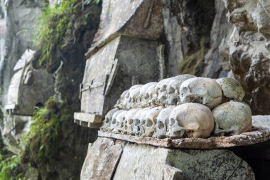 Yüzlerce yıllık bir insan kafatası, Endonezya 'nın Güney Sulawesi kentindeki bir turizm merkezi olan Tanah Toraja' da korunmuş ve muhafaza edilmiştir..