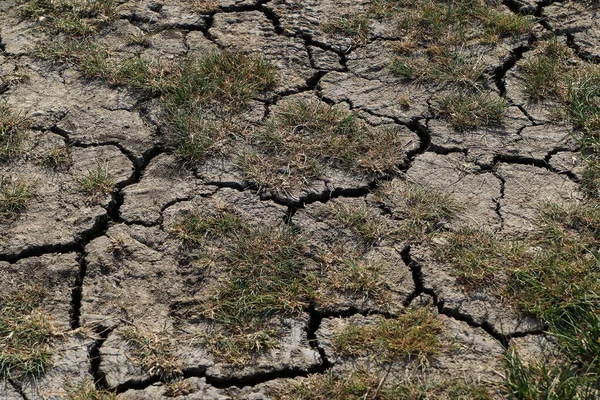 Dry Cracked Earth Background Global Warming Climate Change Concept — Stock Photo, Image