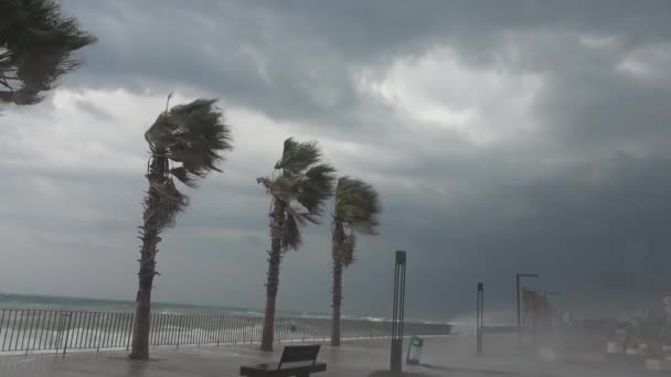 Silné Větry Hurikánů Ohýbají Stromy Narážejí Obrovské Vlny Středozemního Moře — Stock video