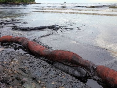 Tayland Körfezi ve Samet Adaları 'nın ortasında, Rayong Denizi' nin ortasındaki ham petrol sızıntısı. Personel ve gönüllüler kumsaldaki petrol sızıntılarını temizlemeye yardım ediyor, yağmur yağıyor.