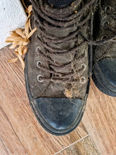 Black leather shoes, boots or ankle boots that are covered with dust, leaves and cat hair, look dirty and very old.
