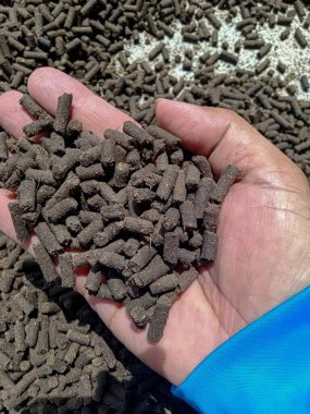 Tavuk gübresi topakları, gübre topakları, hayvan gübresinden üretilen doğal gübreler. Çevre dostu. Elini açıkça kaldırmak için kullan..