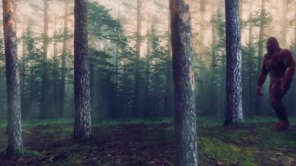 スタイリッシュな森の風景の中をカメラを歩いてキャッチ毛皮のカバーサスケッチビッグフットキャラクター — ストック動画