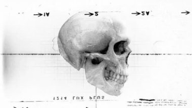 Dönen eski bir film ve tıbbi çizelge tarzı grunge ve dur hareketi efektiyle dönen bir kafatası grafiği.