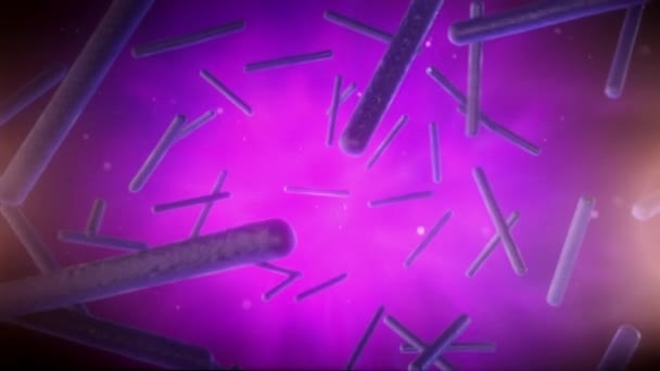 Una Visione Microscopica Delle Strutture Cellulari Cromosomiche Galleggianti Nel Fluido — Video Stock