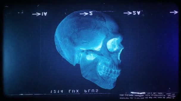 Une Séquence Boucle Crâne Style Ray Avec Vieux Film Effet — Video