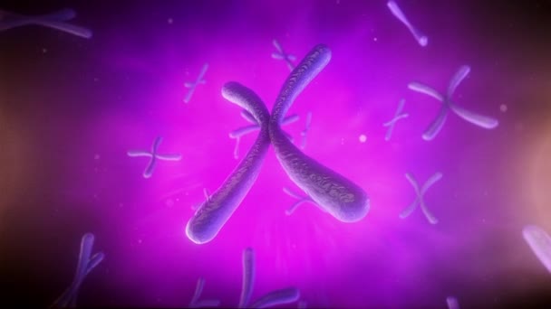 Ein Mikroskopischer Blick Auf Flüssigkeit Schwebende Zellstrukturen Des Chromosoms — Stockvideo