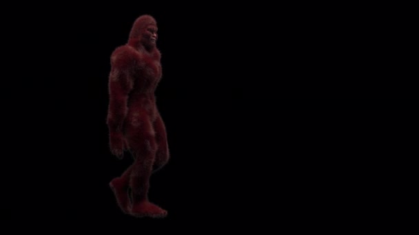 Fur Covered Sasquatch Bigfoot Character Walking Stop Standing Idle Rendered — Stock Video