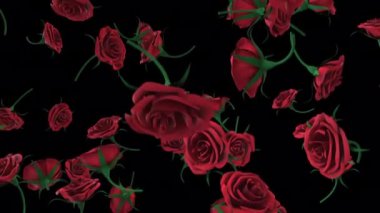 Yavaş çekimde düşen güllerin bir döngüsü.