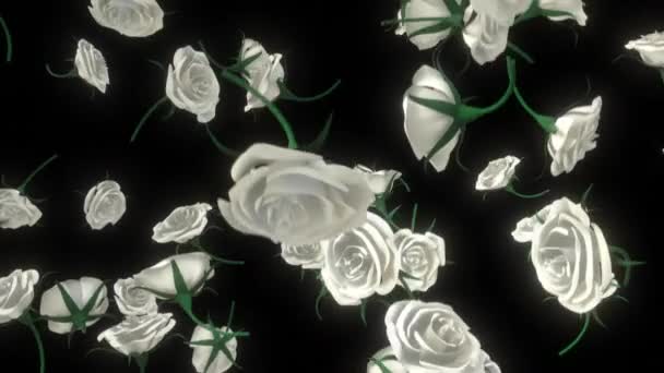 Sekwencja Pętli Róż Spadających Zwolnionym Tempie — Wideo stockowe