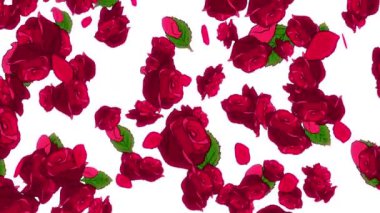 Yavaş çekimde düşen 2D resimli güller döngüsü.