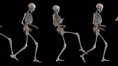 3D canlandırılmış İskelet karakterler sonsuz döngülü sürünen yürüyüş sahnesinde gerçekçi hareketlerle.