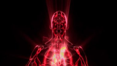 Titreyen çizgiler ve parıldayan renklerle temsil edilen vücudun enerjik alanlarını gördüğümüz bir insan karakteri meditasyon yapıyor..