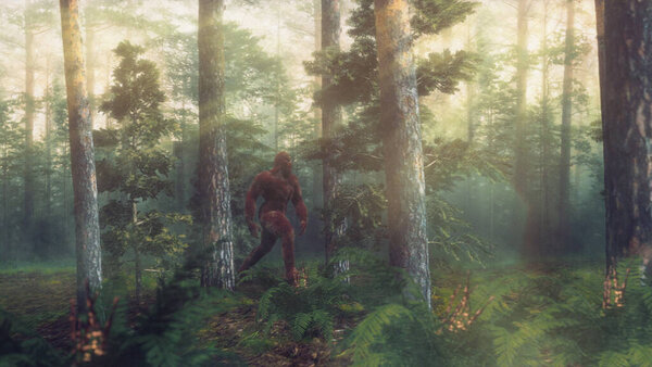 A fur covered Sasquatch Bigfoot character caught on camera walking in a stylised forest scene.