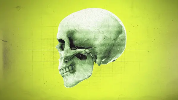 Eski film ve tıbbi grafik tarzı grunge etkisi olan bir kafatası grafiği.